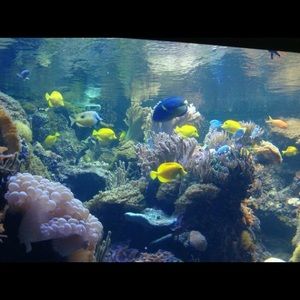 Meet your Posher, Eve